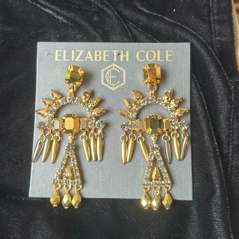 Elizabeth Cole statement earring